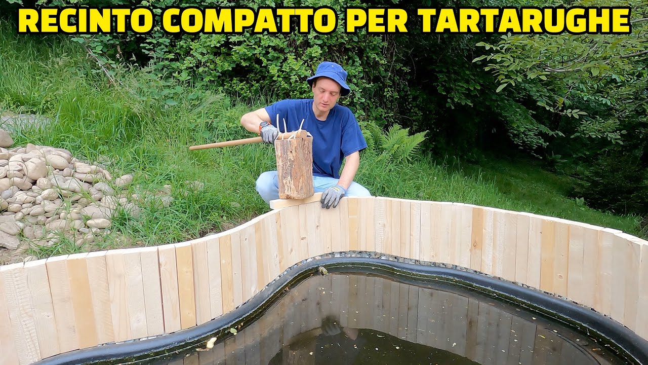 Come costruire un RECINTO per TARTARUGA COMPATTO tartarughe d'acqua e di terra testuggine recinzione