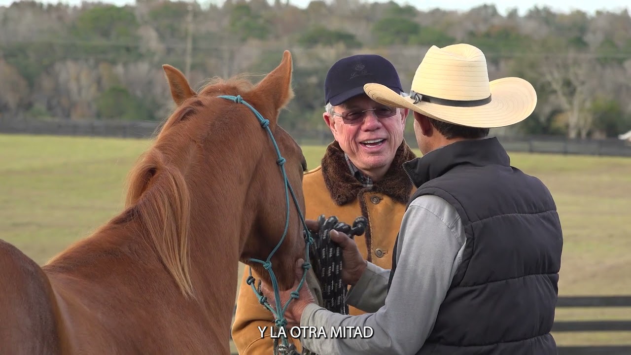 Benjamin Leon Jr. 40 Years in the Paso Fino Breed