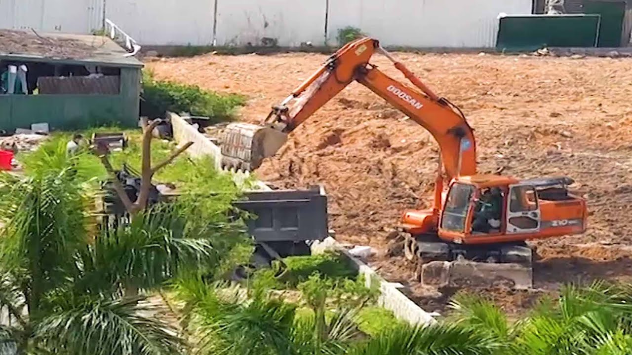 DOOSAN excavators scoop soil, aggregate excavators, dump trucks
