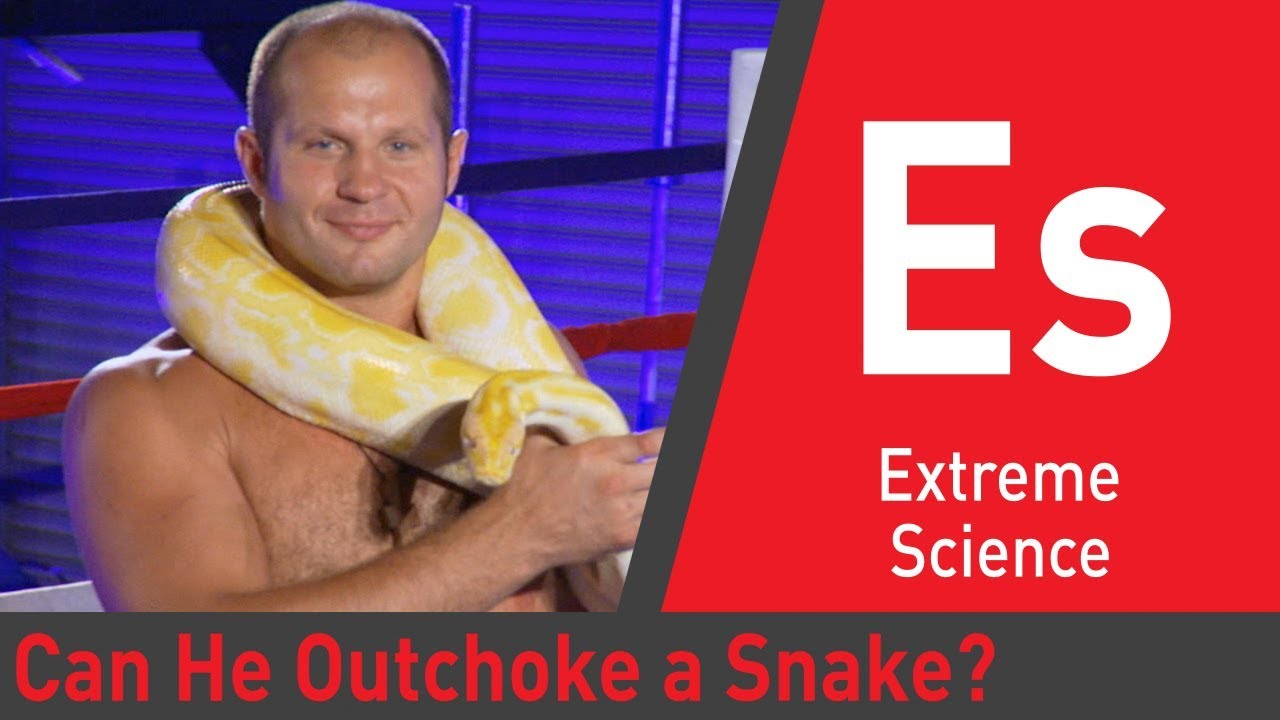 MMA Fighter Vs Killer Snake | Sport Science