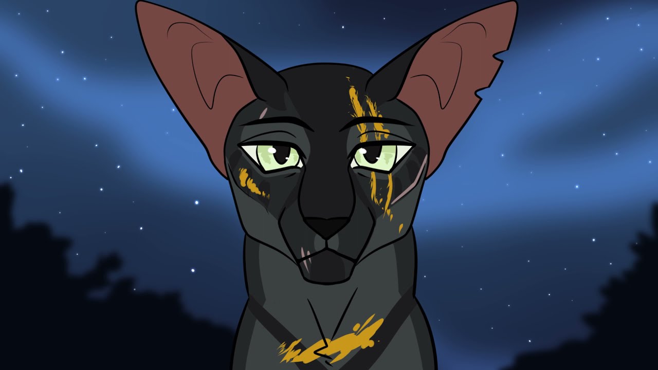 Warrior Cats OC PMV - New Year's Eve