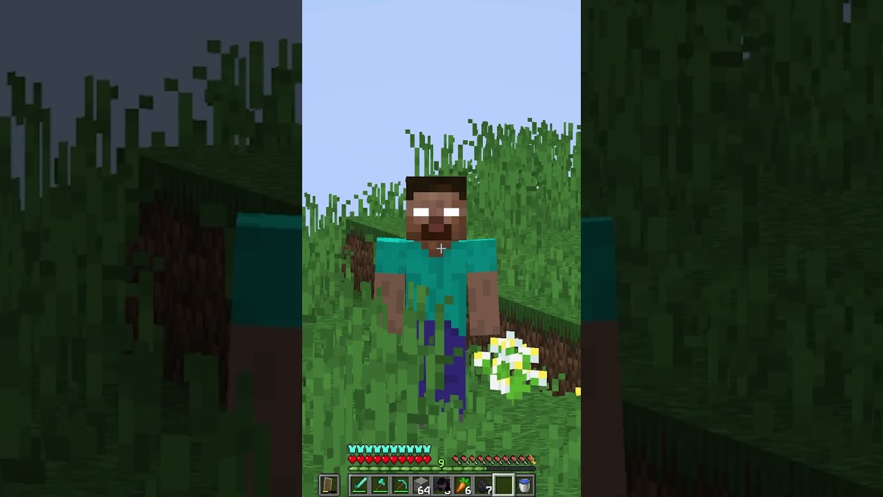 JOKO Finds Herobrine on SDMP #minecraft #joko #sdmp