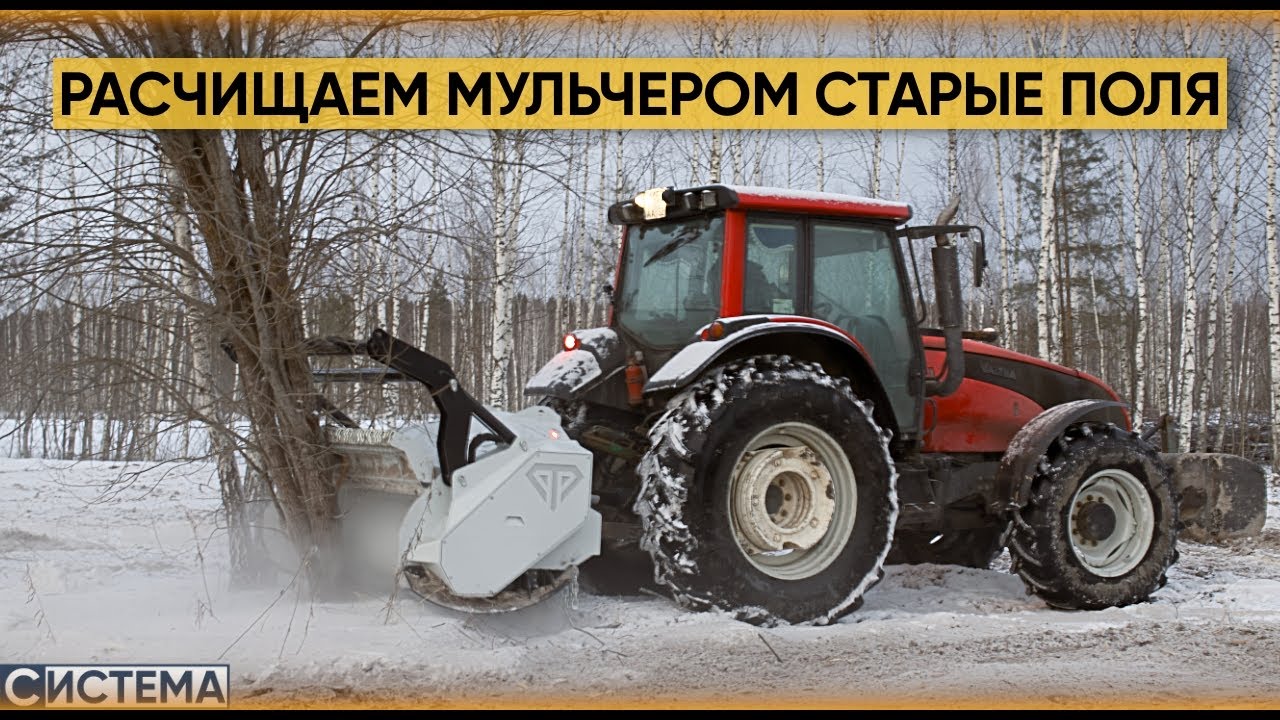 ЭТОТ МУЛЬЧЕР ИЗМЕЛЬЧИТ ЛЮБОЕ ДЕРЕВО. РАСЧИСТКА ПОЛЕЙ ОТ ЛЕСА