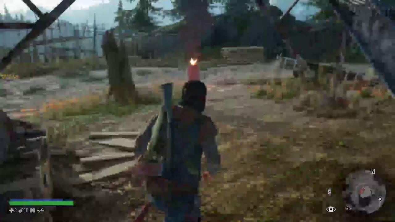 Days Gone
