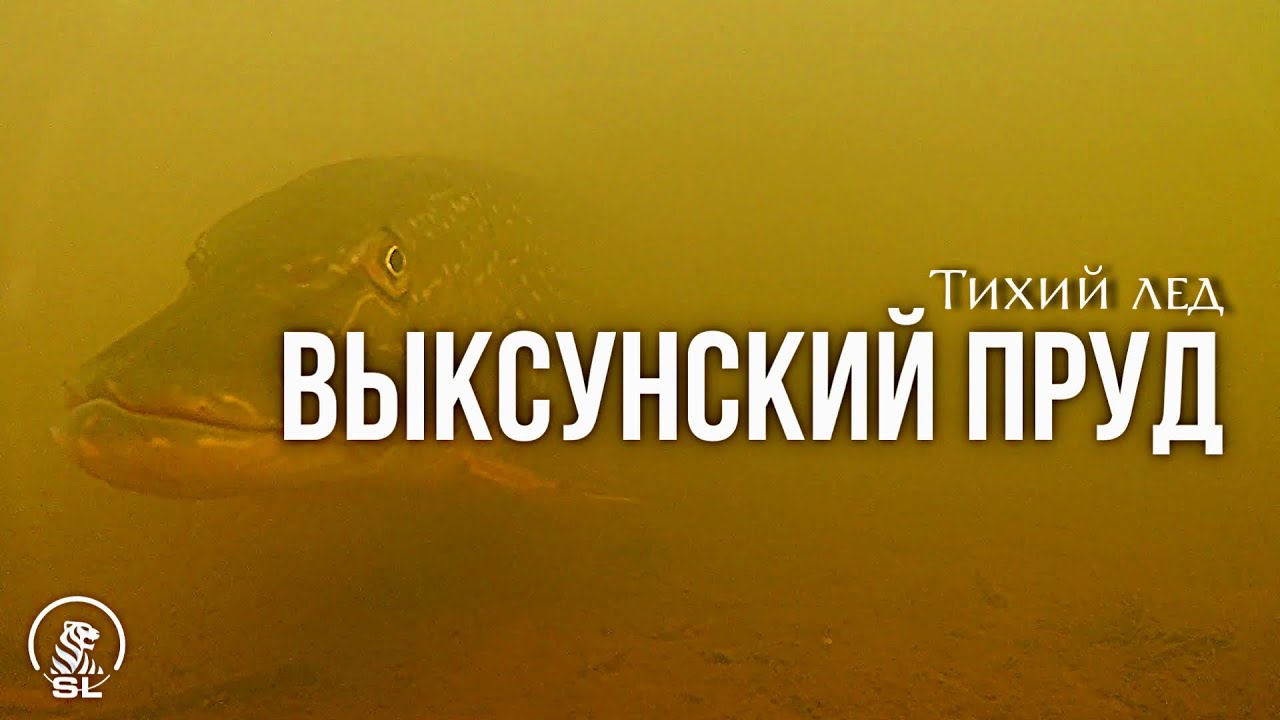 Верхний Выксунский пруд, зима 2026 
