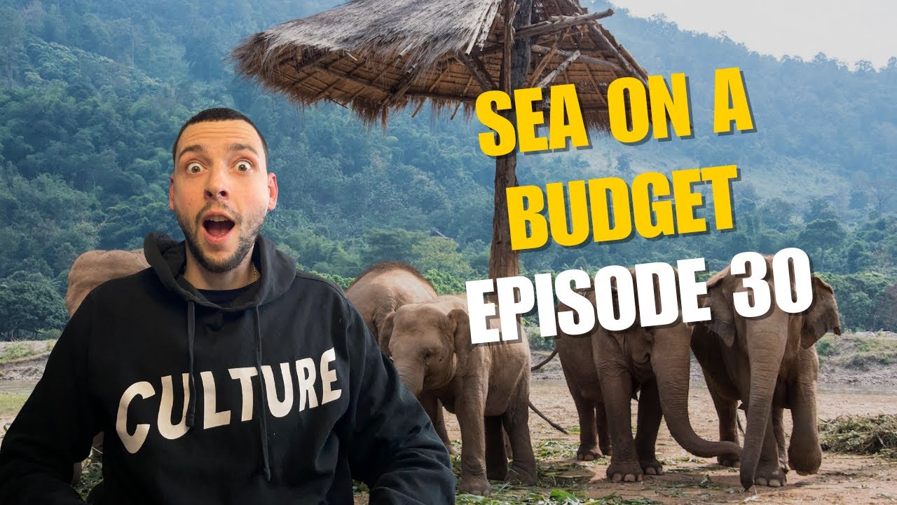 ELEPHANT SANCTUARY IN CHIANG MAI! | SEA ON A BUDGET 30