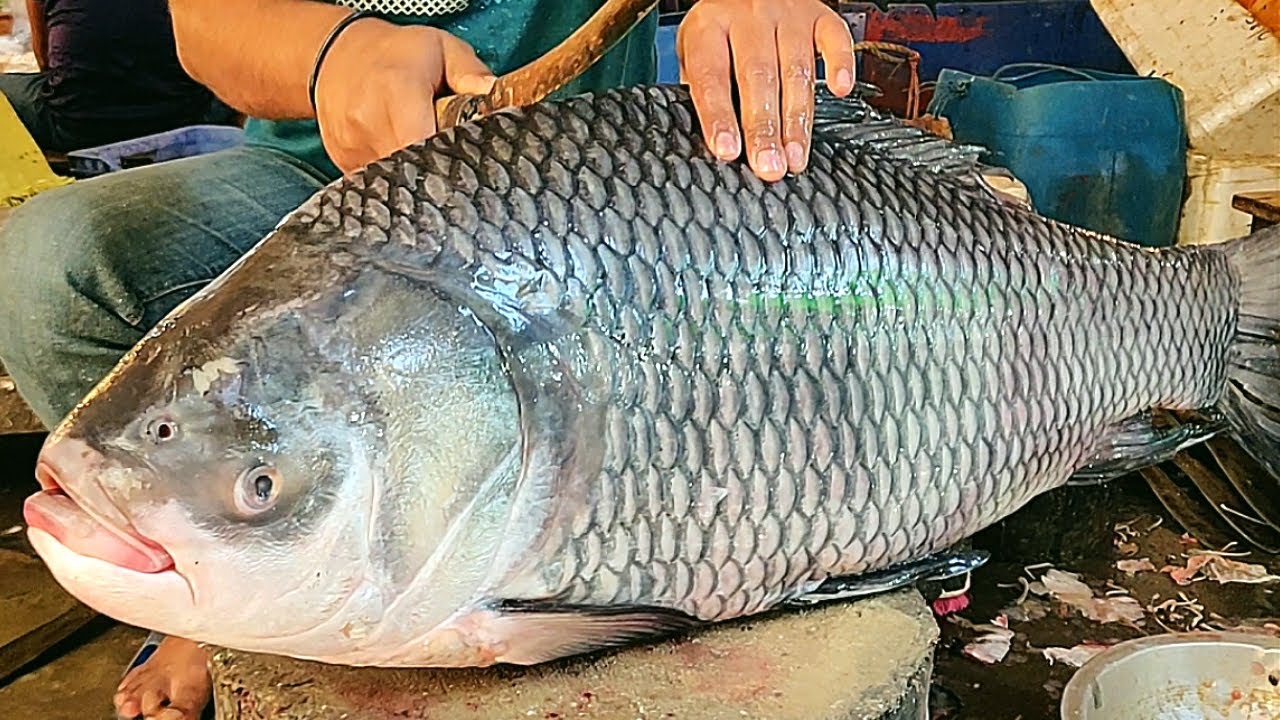 Giant Katla Carp Fish Cutting Live In Fish Market | Fish Cutting Skills