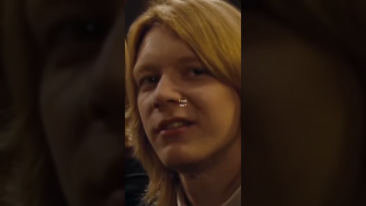 Pov: Fred Weasley × Y/n 