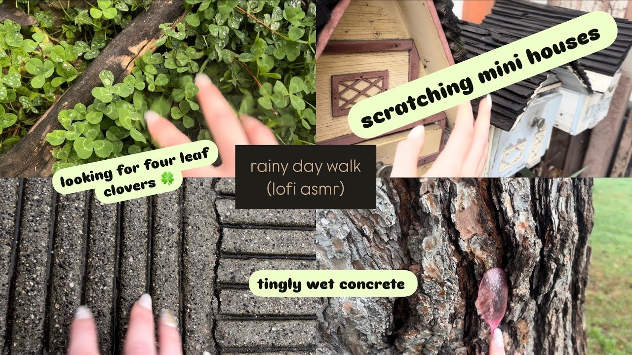 Lofi Walk in the Rain ASMR (anxiety relief)