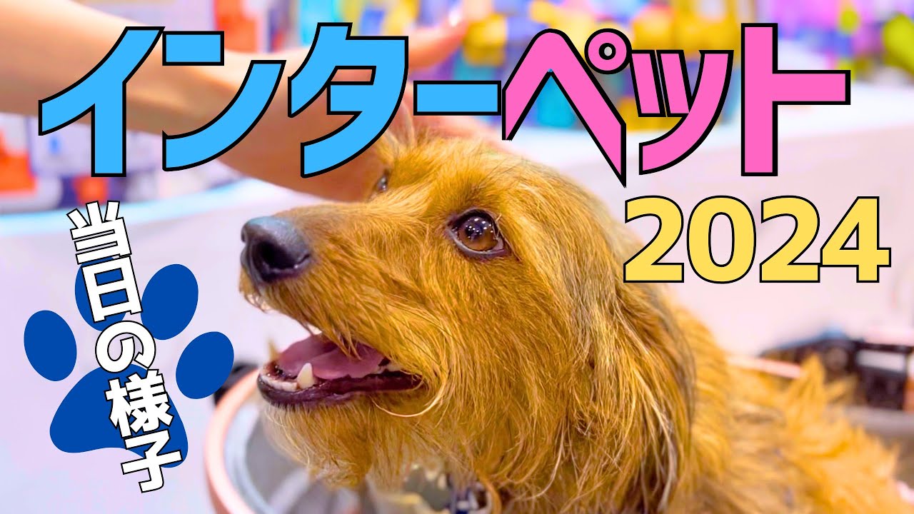 初めてのインターペット2024！一般初日の様子｜犬のおやつ・スープ・洋服・ドッグフード・東京ビッグサイト