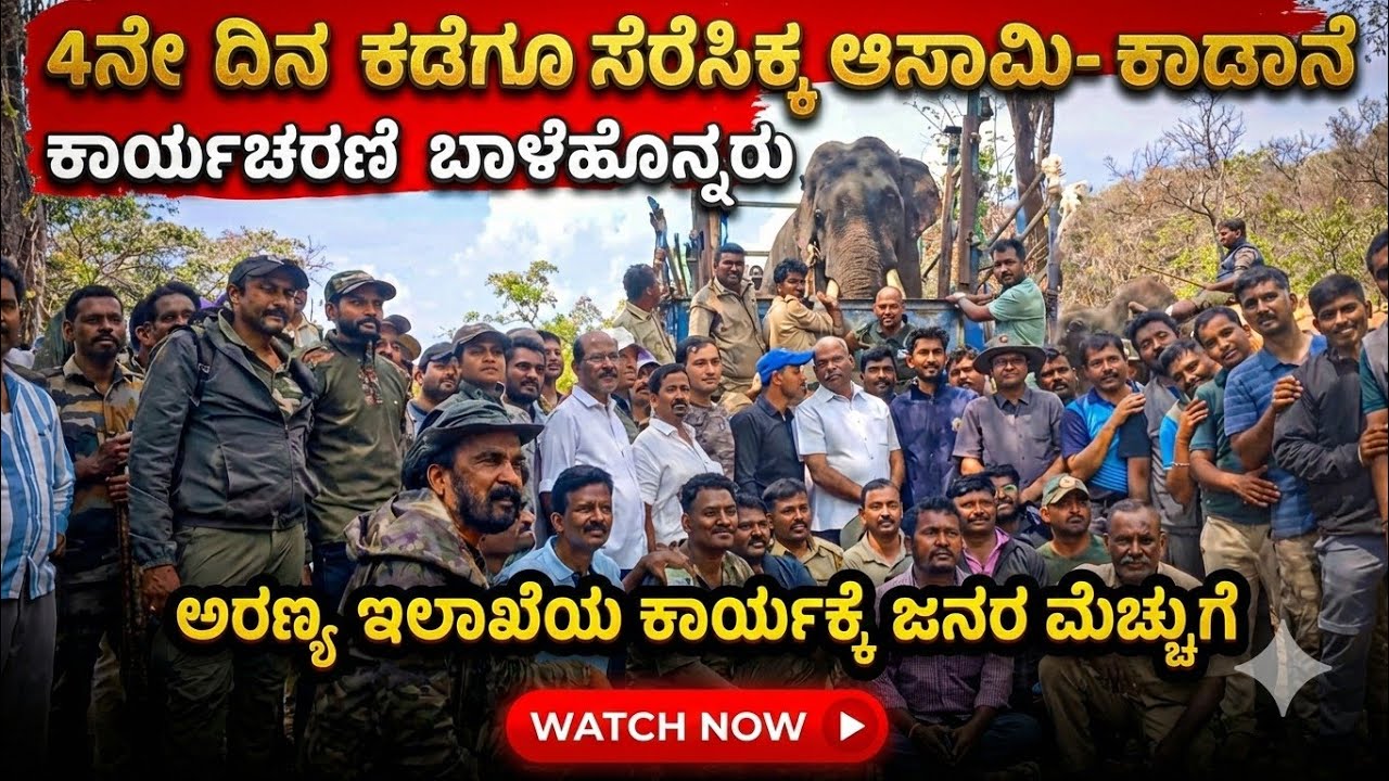 ಕೊನೆಗೂ ಸೆರೆಸಿಕ್ಕಿದ ಕಾಡಾನೆ |ಯಶಸ್ವಿಯಾಗಿ ಅಂತ್ಯಗೊಂಡ ಆನೆ ಕಾರ್ಯಾಚರಣೆ | ಗಜಪಡೆಗಳ ನಿಷ್ಠೆಗೆ ಜನರ ಮೆಚ್ಚುಗೆ