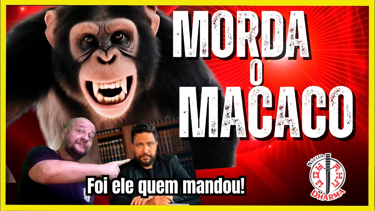 Quando o perigo aparece, o discurso acaba! Morda o MACACO!