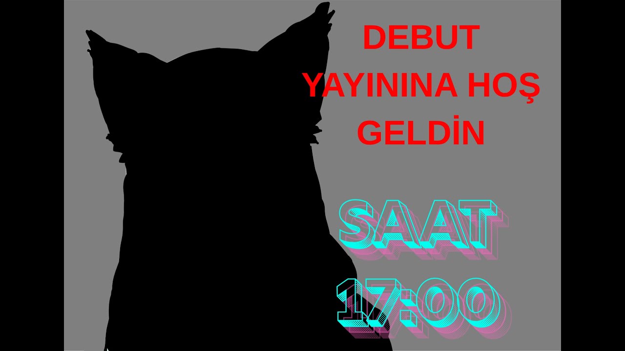 Geç Kalmış Debut Yayını
