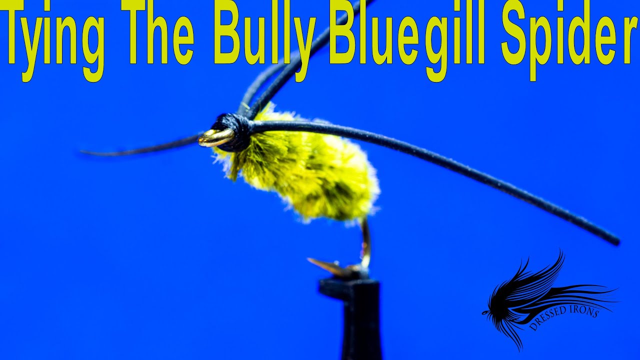 Tying The Bully Bluegill Spider