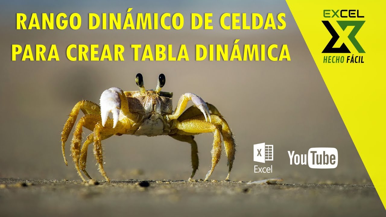Rango din&aacute;mico de celdas para crear tabla din&aacute;mica