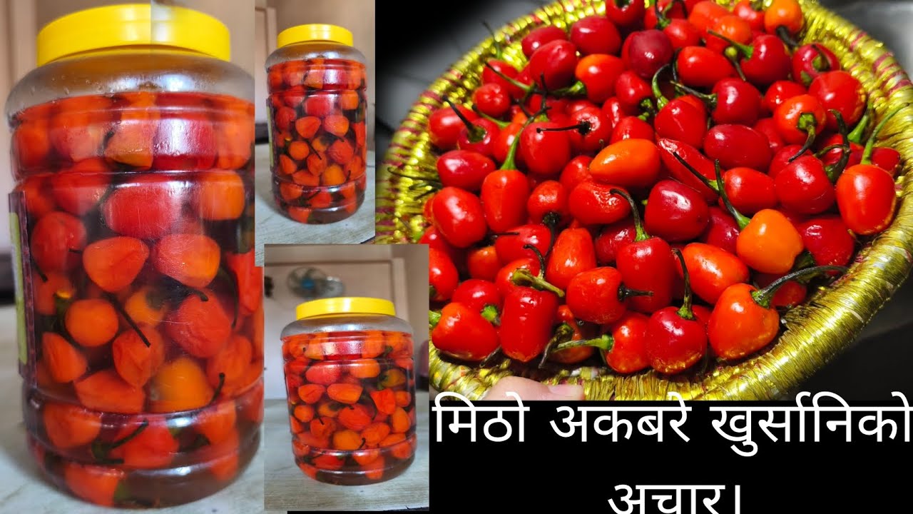 मिठो  अकबरे खुर्सानिको अचार। खुर्सानी  छिटो मिठो अचार।