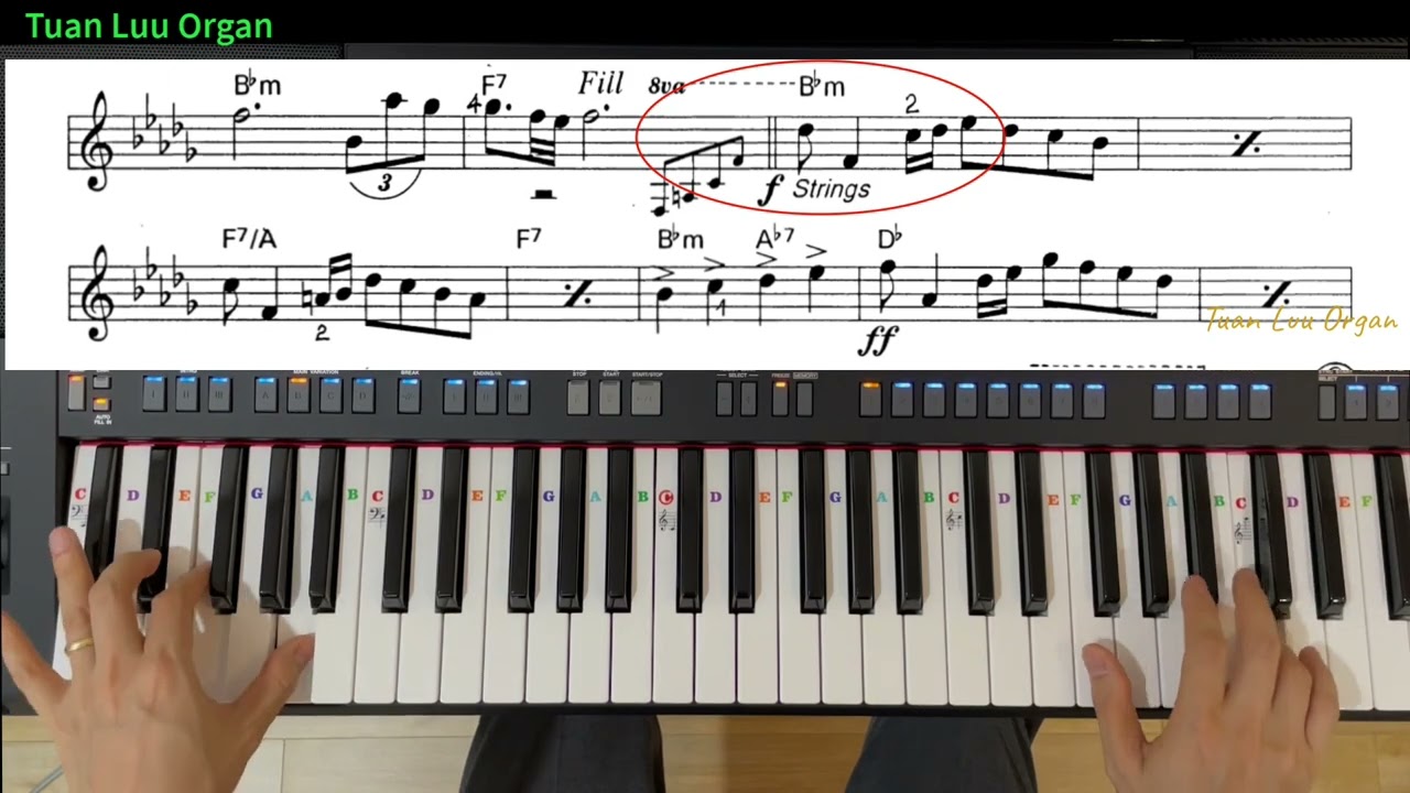 #2 - A Comme Amour - Hướng Dẫn Solo Organ - Dễ Học - Dễ Thực Hành - Tự Học Organ