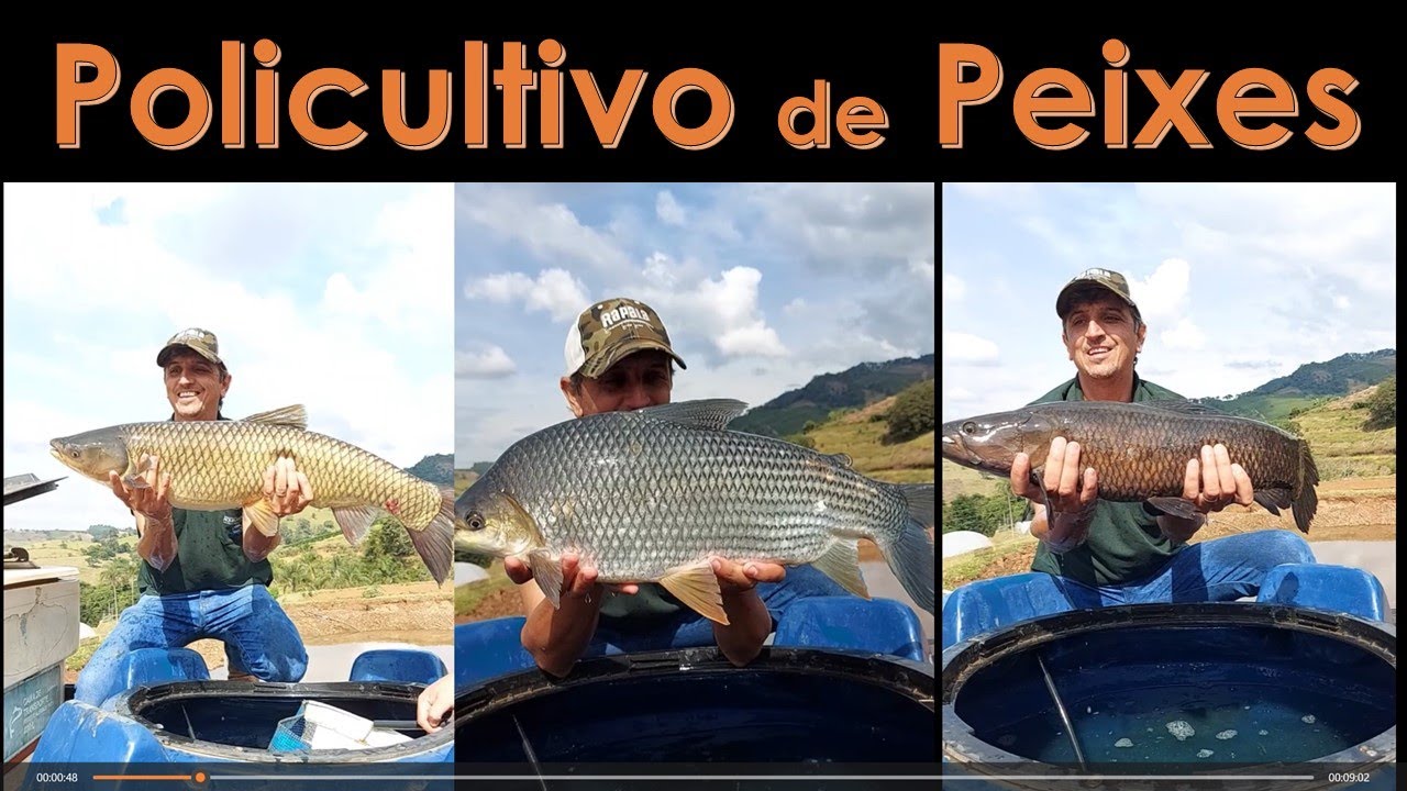 Policultivo na Criação de Peixes!!  Aproveite ao máximo seu lago!!