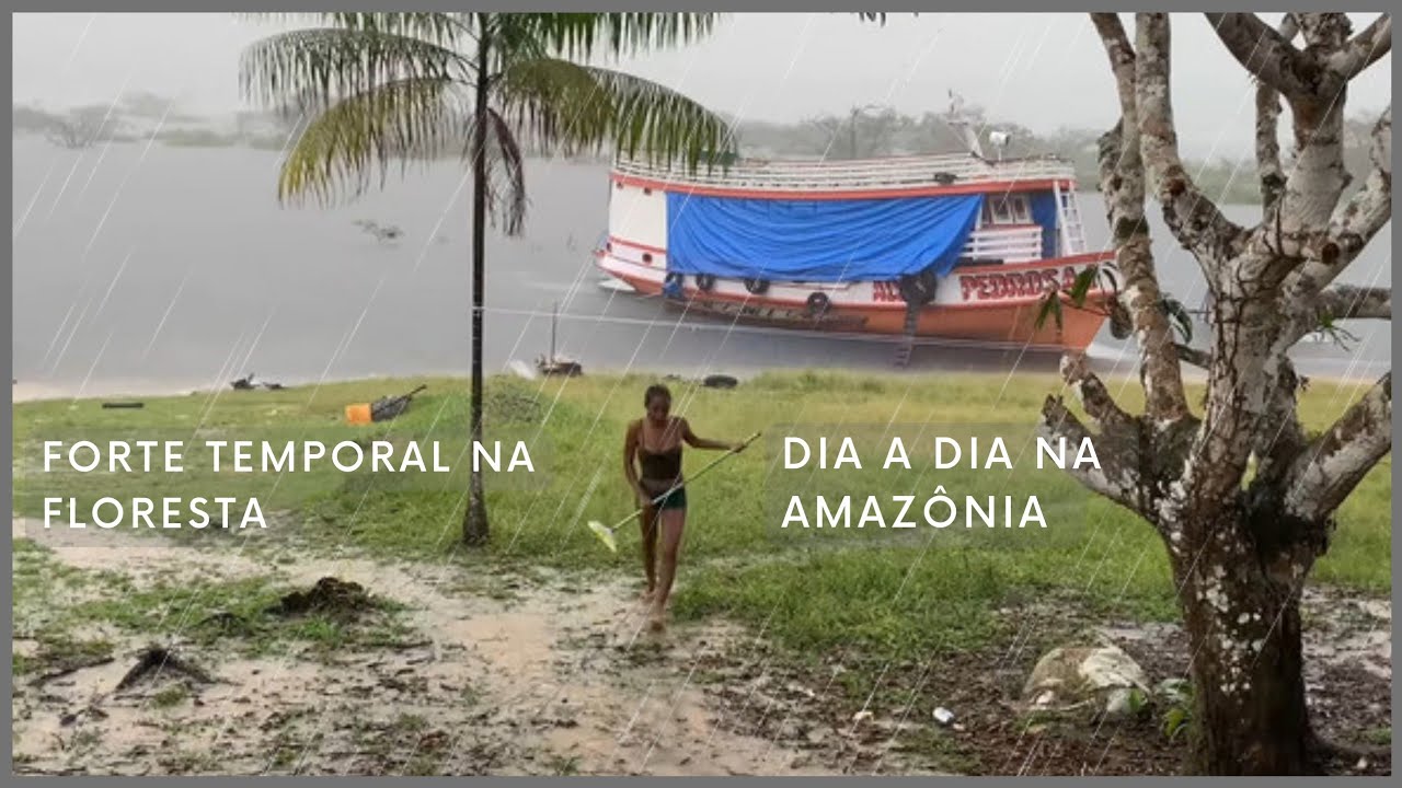 СИЛЬНЫЙ ДОЖДЬ ЗДЕСЬ, В ЛЕСУ АМАЗОНКИ/МОЙКА ДОМА