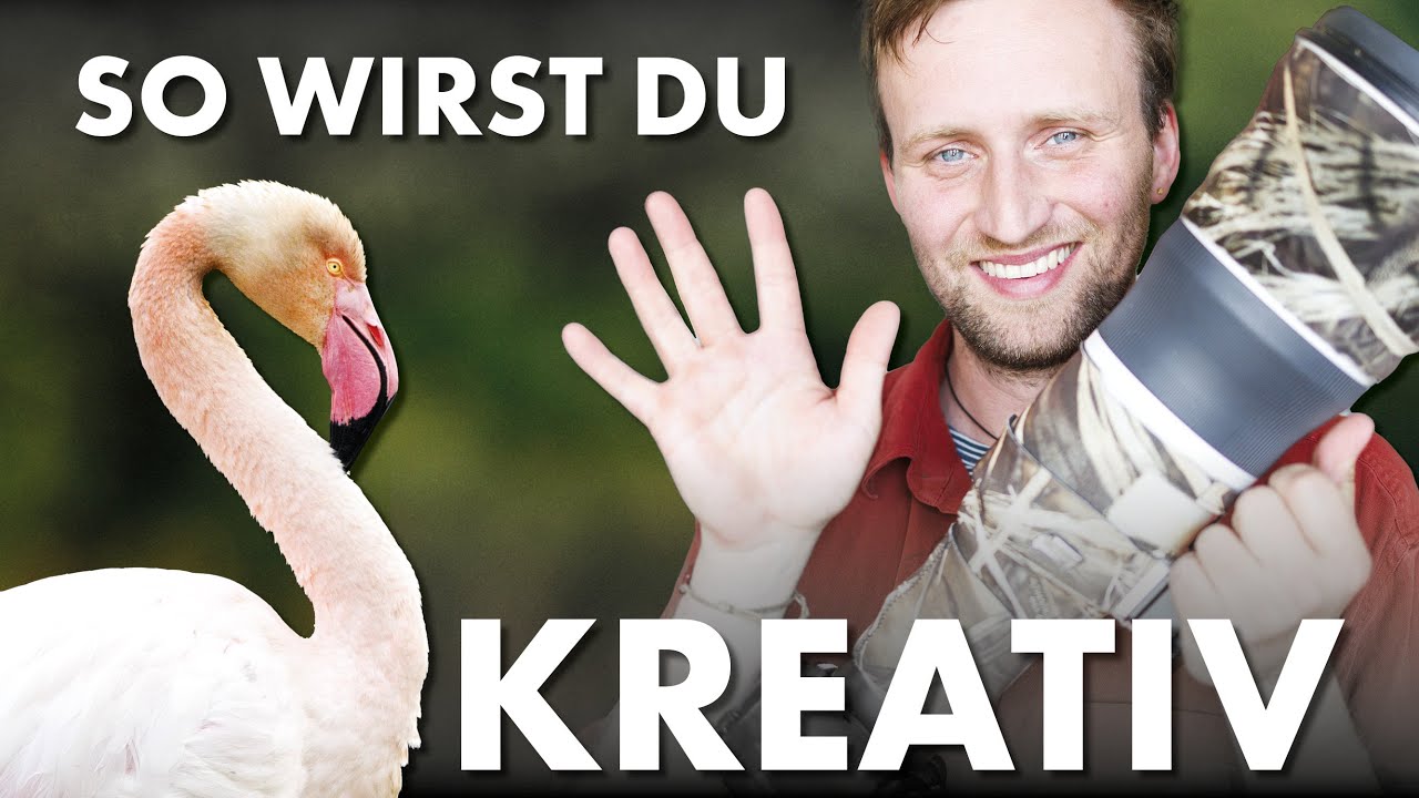 5 Tipps für kreative Naturfotografie - Zuhause und unterwegs