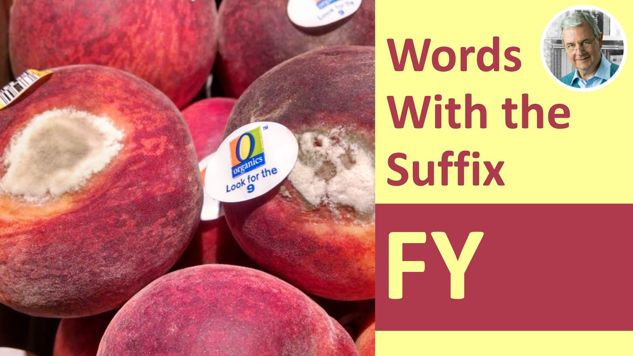 Words With the Suffix FY (6 Illustrated Examples)