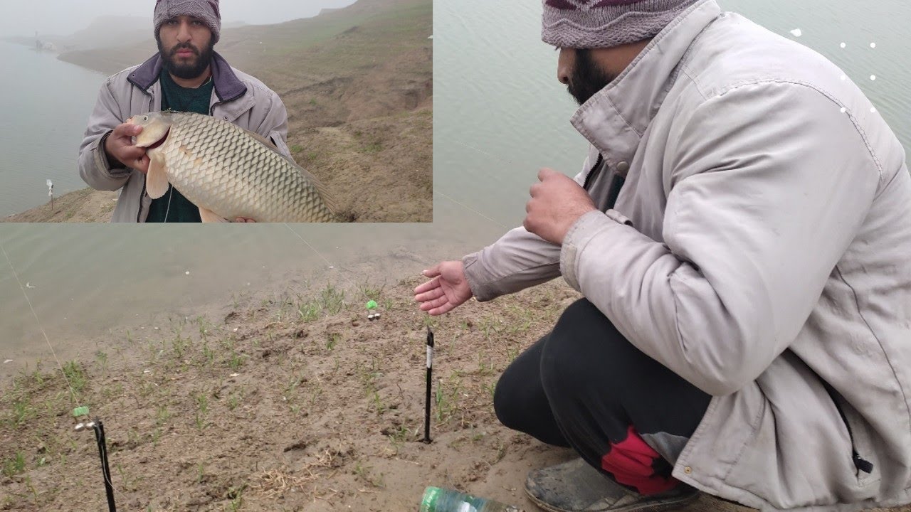 Hook Fishing Best Fishing Videos || Live Carp Hook || Difficult place In Mangla Dam Mohsin Shikari