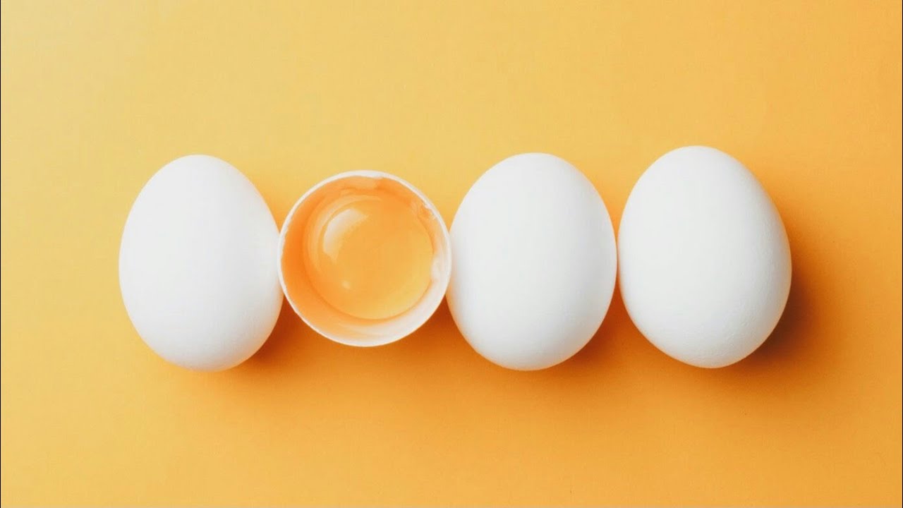 Egg how its made, Egg making process