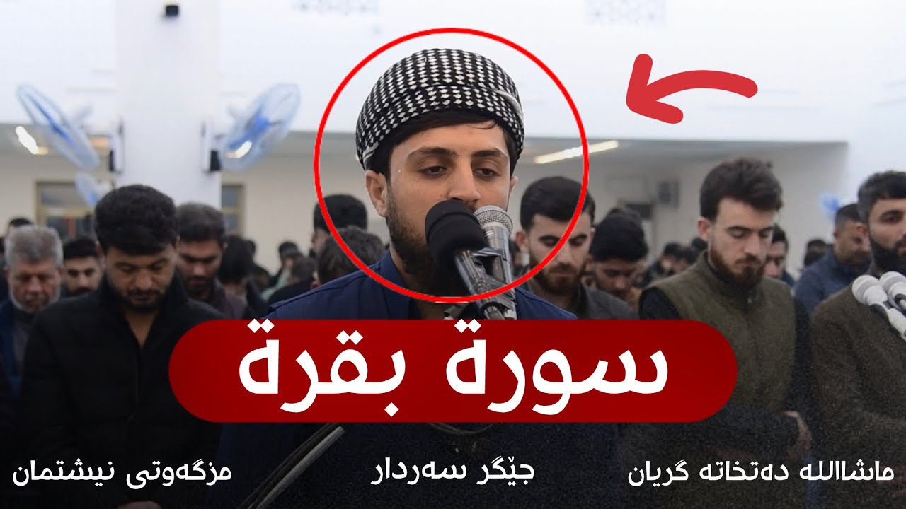 جیگر سەردار | سورة البقرة | رمضان ٢٠٢٦ | مزگەوتی نیشتمان لە کەلار