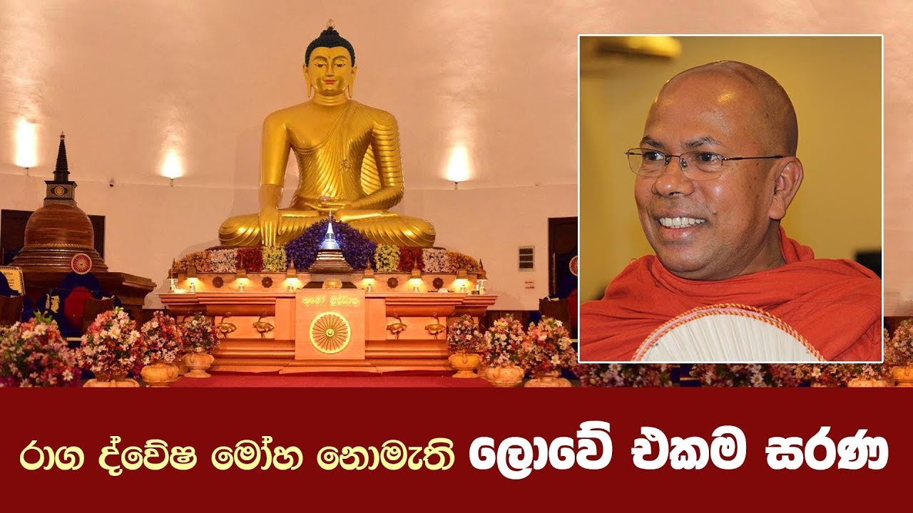 රාග ද්වේෂ මෝහ නොමැති ලොවේ එකම සරණ | Shraddha TV