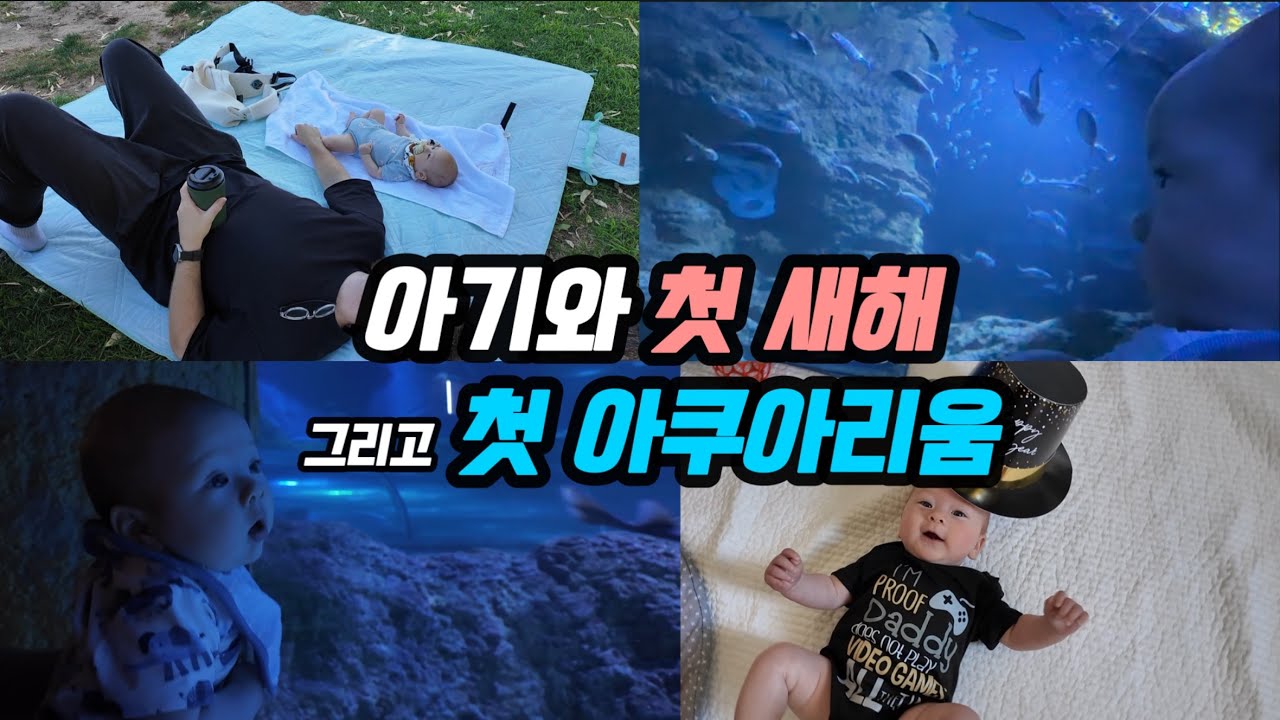 [Vlog]호주에서 아기와 맞이한 우리의 첫 새해 🌅 | 첫 아쿠아리움🦈 | 새해 전날 피크닉 | 새해를 맞이하는 우리의 자세 