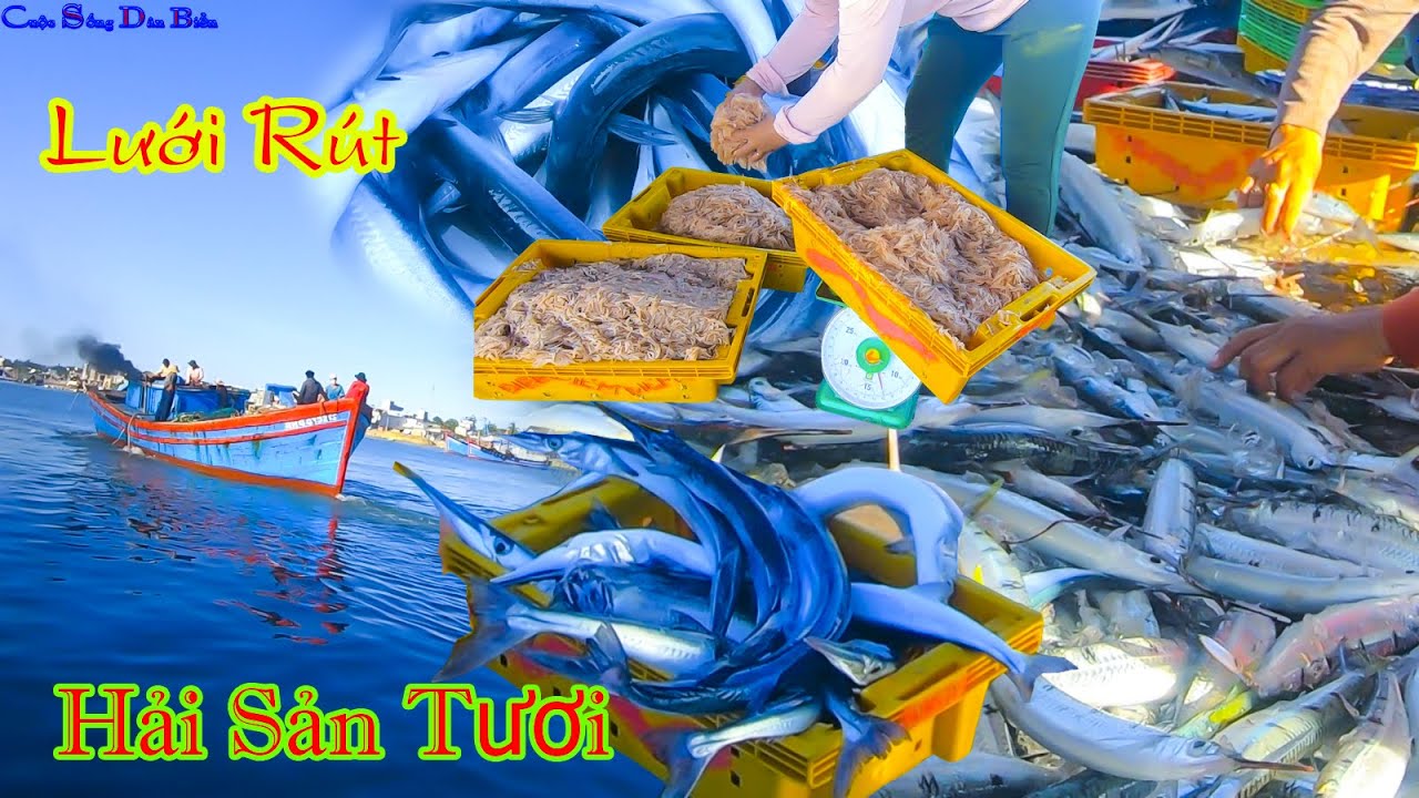 Hải Sản Tươi Ngon Ghe Lưới Rút Đua Nhau Đưa Vô Bờ Bán,Lấy Tiền Tươi Tại Chỗ.