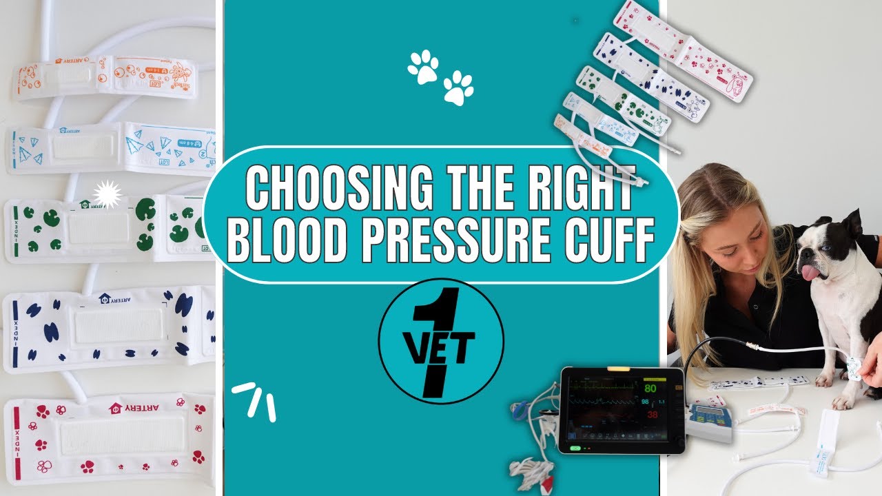 Choosing the right veterinary Blood Pressure Cuff   🩺🐾 Vet1