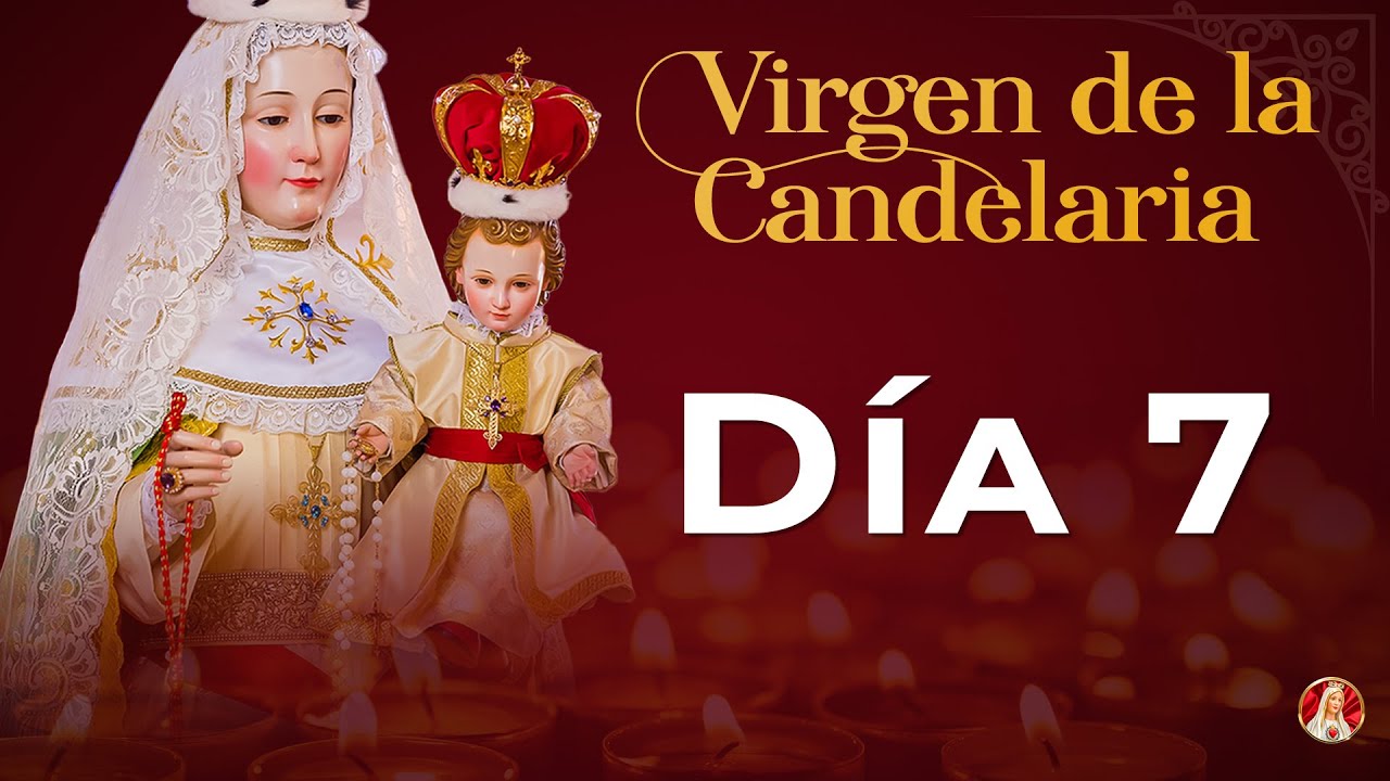 Novena a la Virgen de la Candelaria - Día 7 #novena