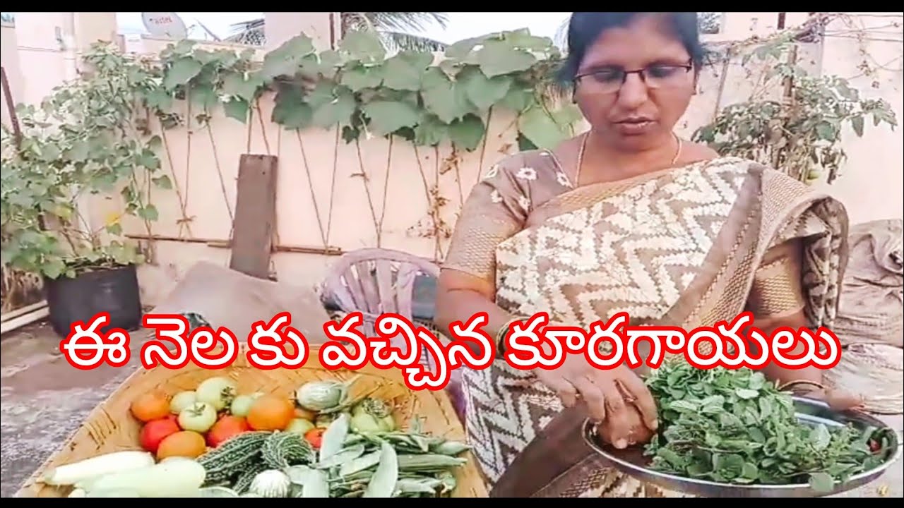 మన ఈ నెలలో వచ్చిన కురగాయలు //అన్నీ రకాలు చూసేయండి ☘️