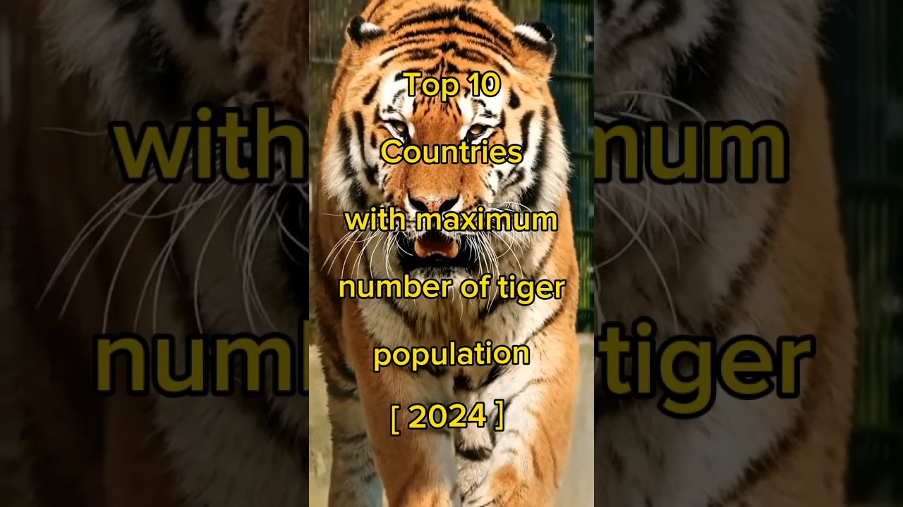 Top 10 countries with maximum number of tiger population [ 2024 ] .#shorts.