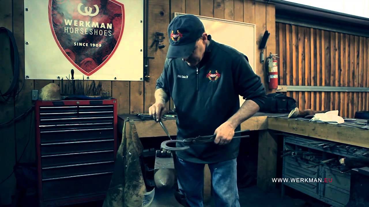 Werkman Hoofcare - Horseshoe Modification - French Roller - Mitch Taylor
