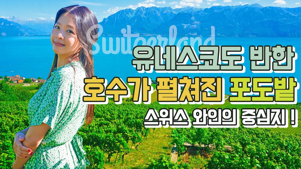 🍹스위스여행 | 스위스와인의 중심지 ‘라보’에 인싸들이 모이는 이유!? 레만호수와 포도밭 뷰를 감상해보세요 ! / ‘Le Deck’ in Lavaux
