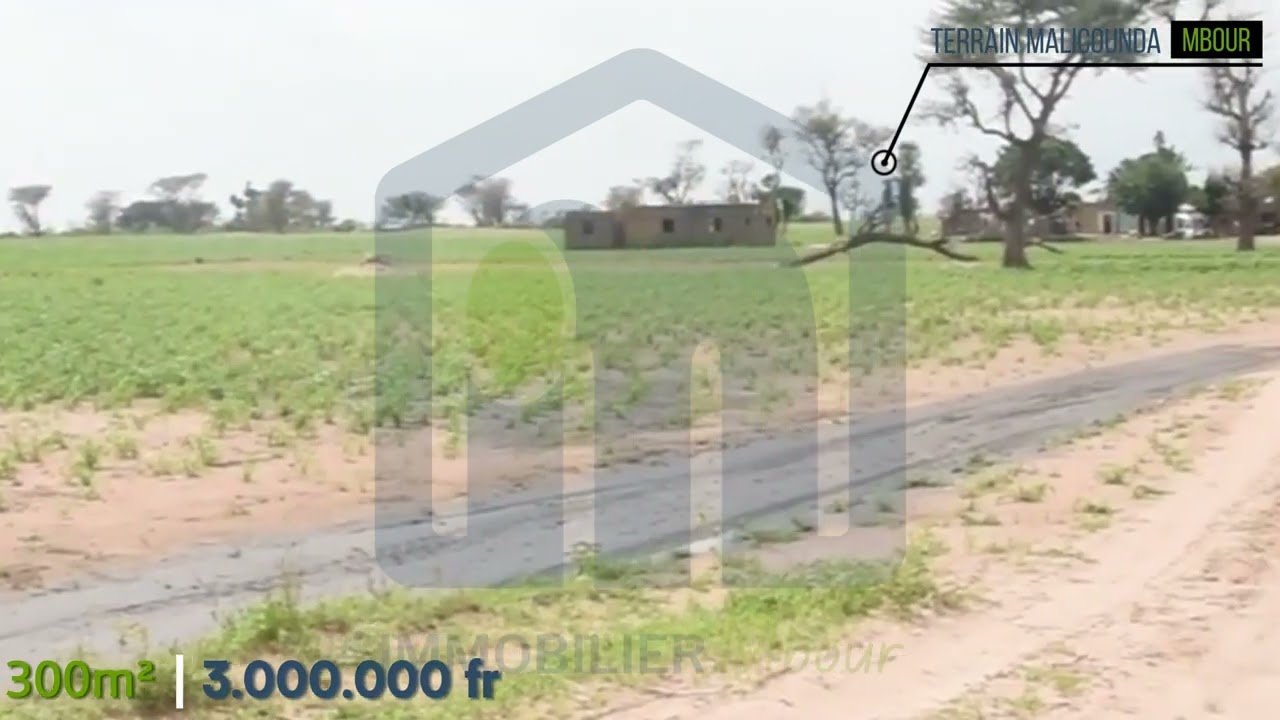 Terrain Malicounda Fandane 300m&sup2;