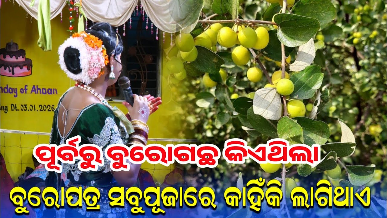 (ବୁରୋଗଛର ପୂର୍ବଜନ୍ମ କିଏଥିଲେ) RAMAKANTA BISHI NEW QUESTION ANSWER 