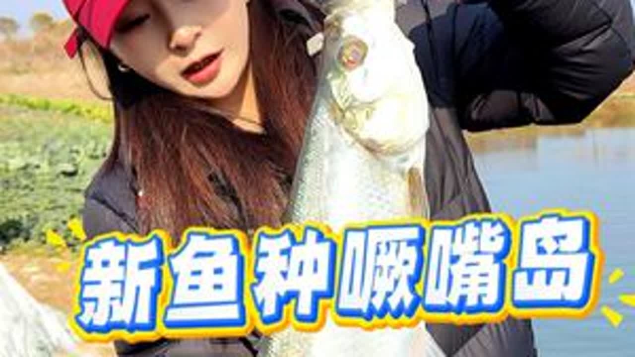 头一回知道噘嘴岛是什么鱼#钓鱼人 #路亚