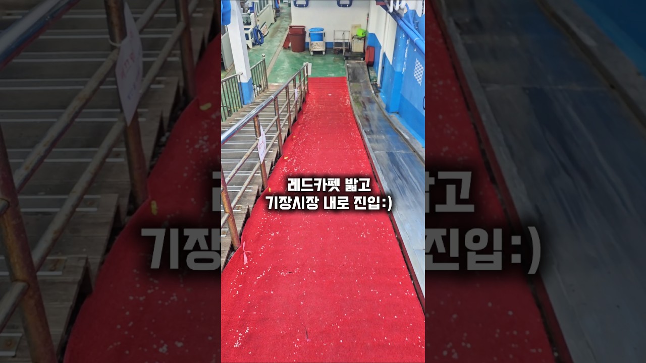 레드카펫 밝고 할매소피국수 한 그릇.     #기장맛집 #기장시장맛집 #할매소피국수 #부산맛집 #하지만알려줌