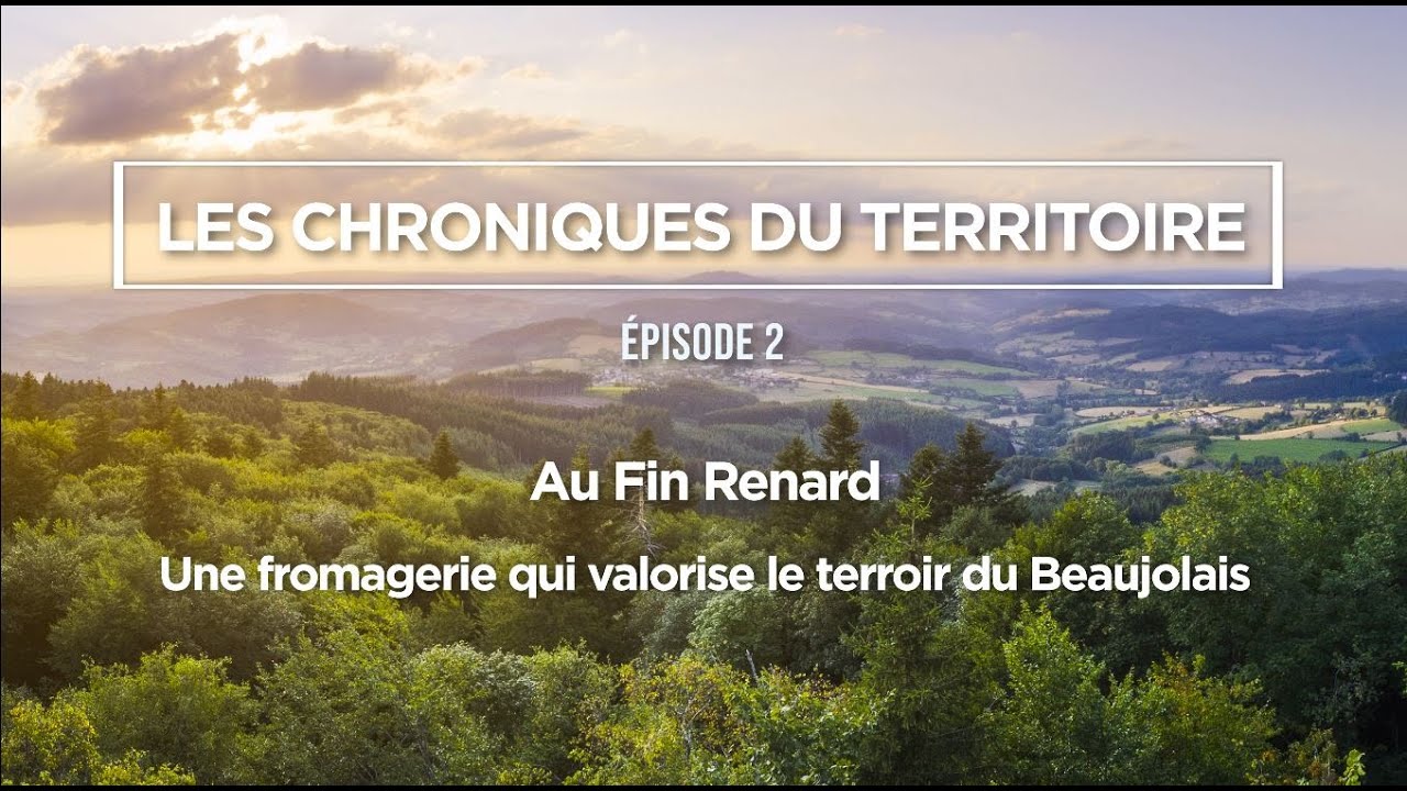 Épisode 2 - Les Chroniques du Territoire : Au Fin Renard