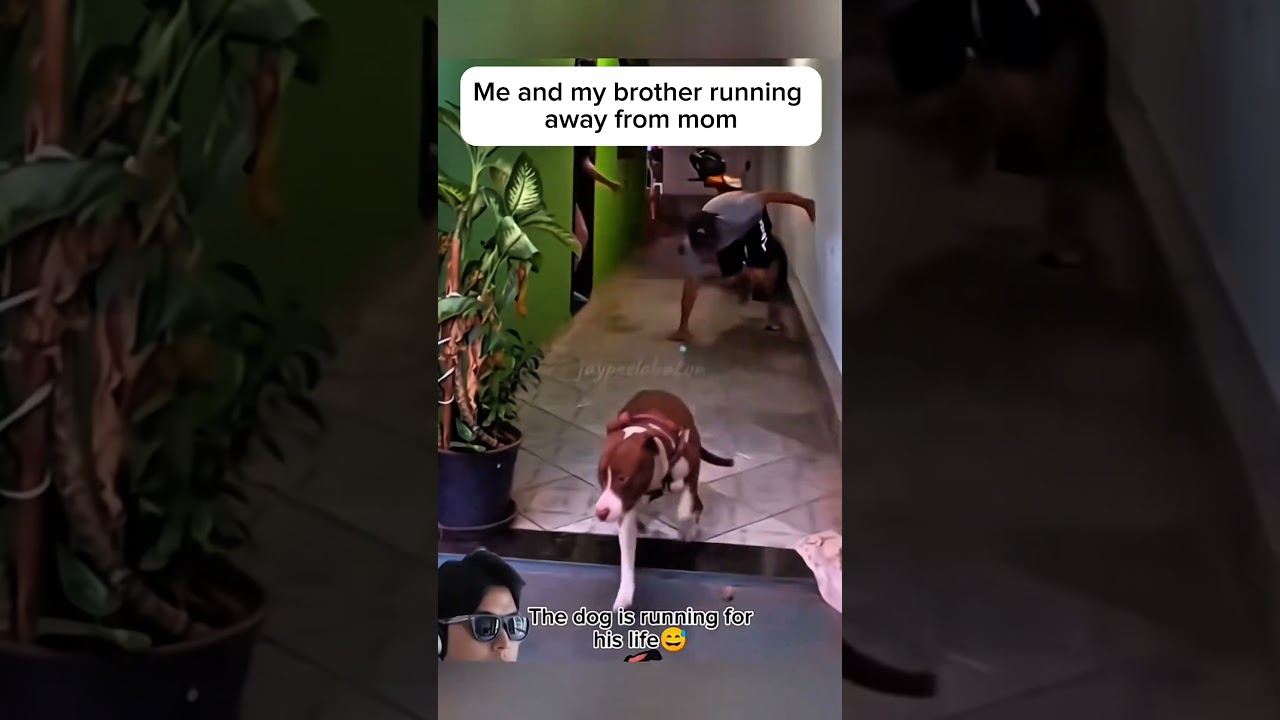 He is the real life adaptation