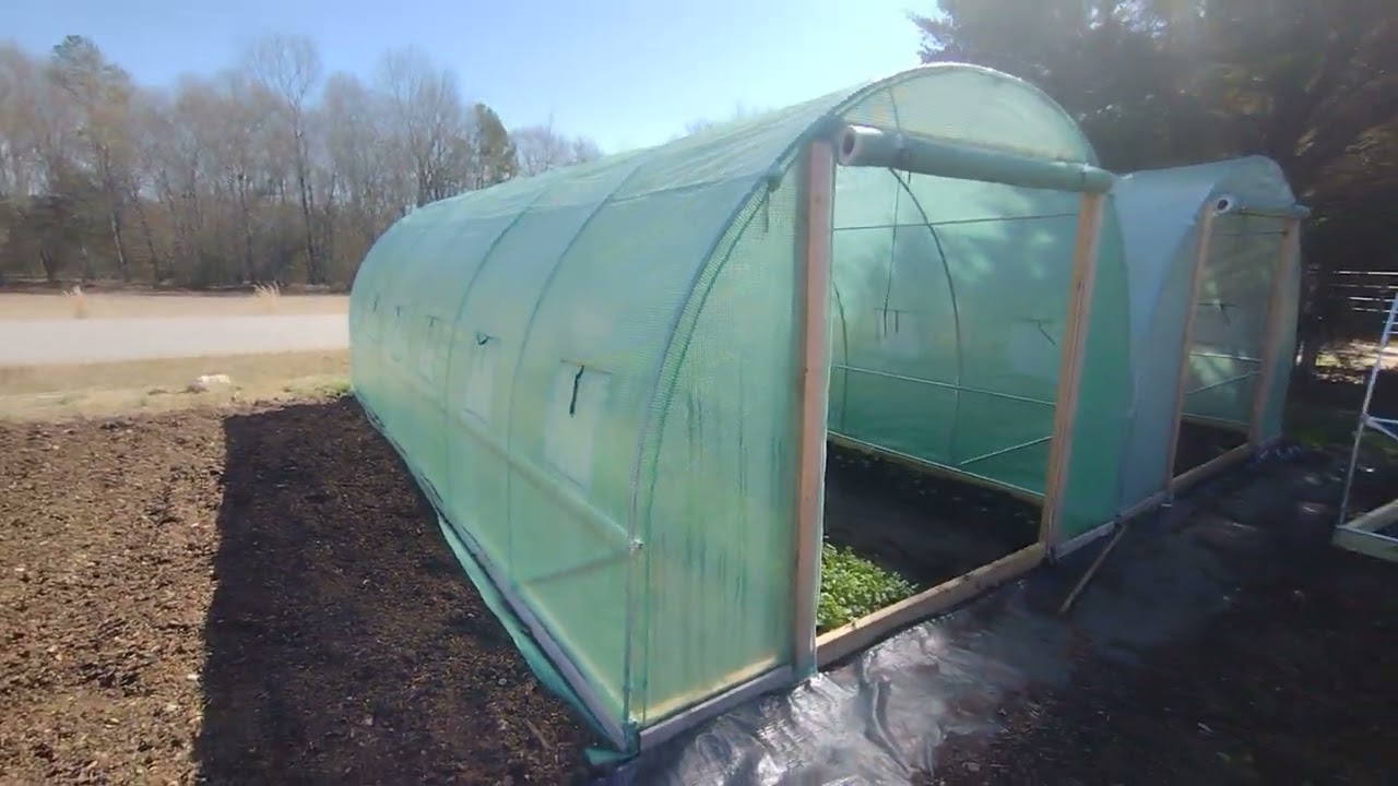 Amazon Vevor 10x20 greenhouse 3 month update
