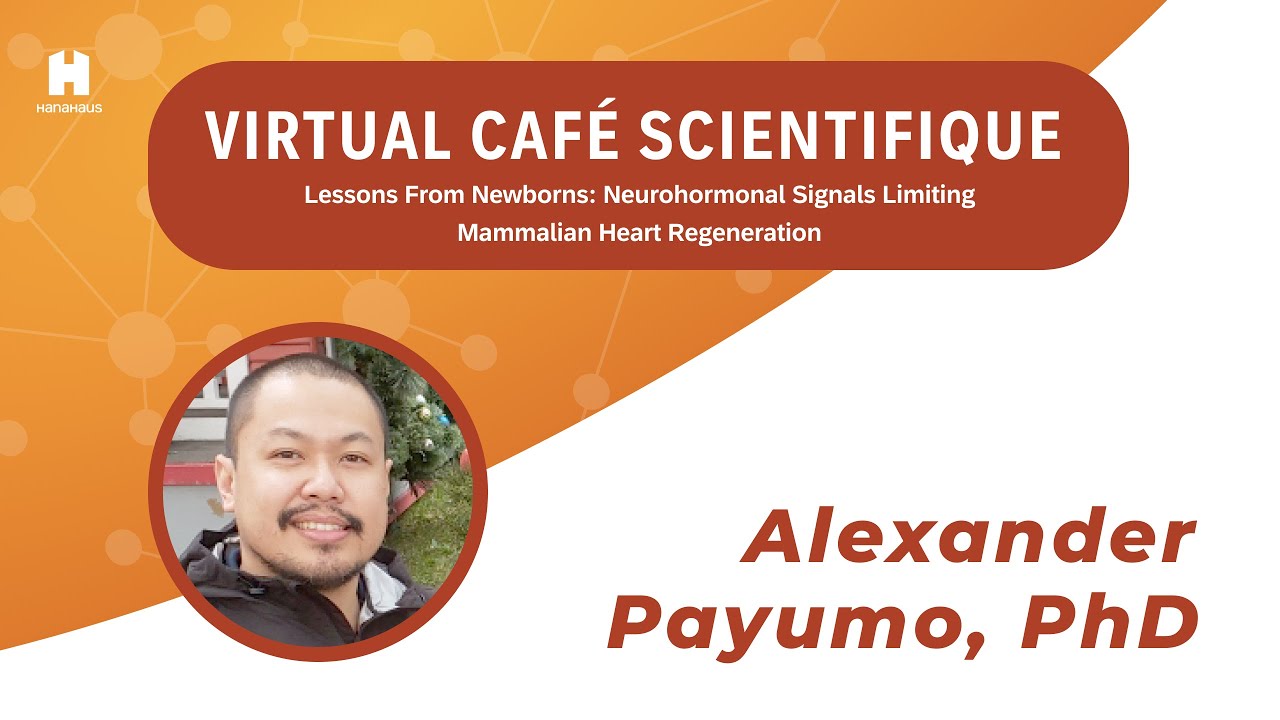 Virtual Café Scientifique | Neurohormonal Inhibitors of Heart Regeneration