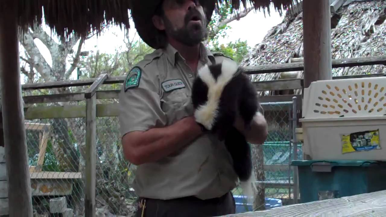 Skunk Spray