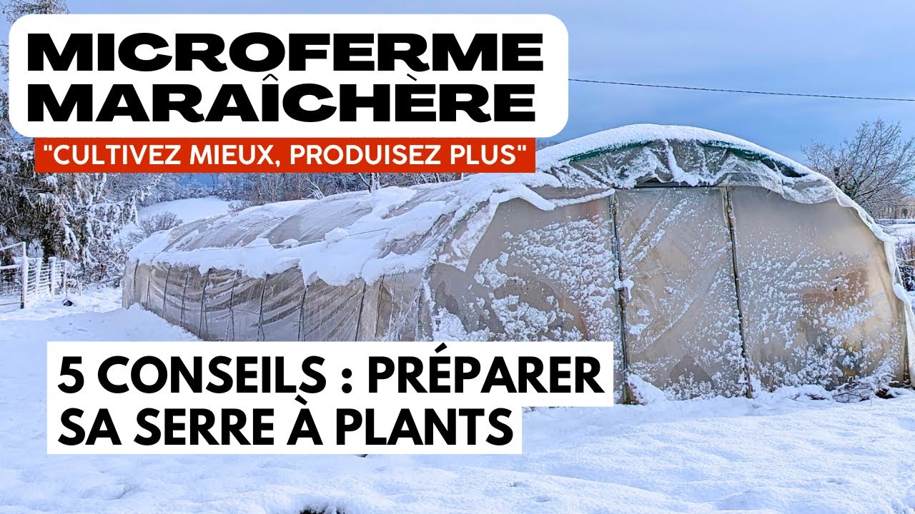 Serre à plants : 5 conseils essentiels pour affronter le froid et réussir ses semis