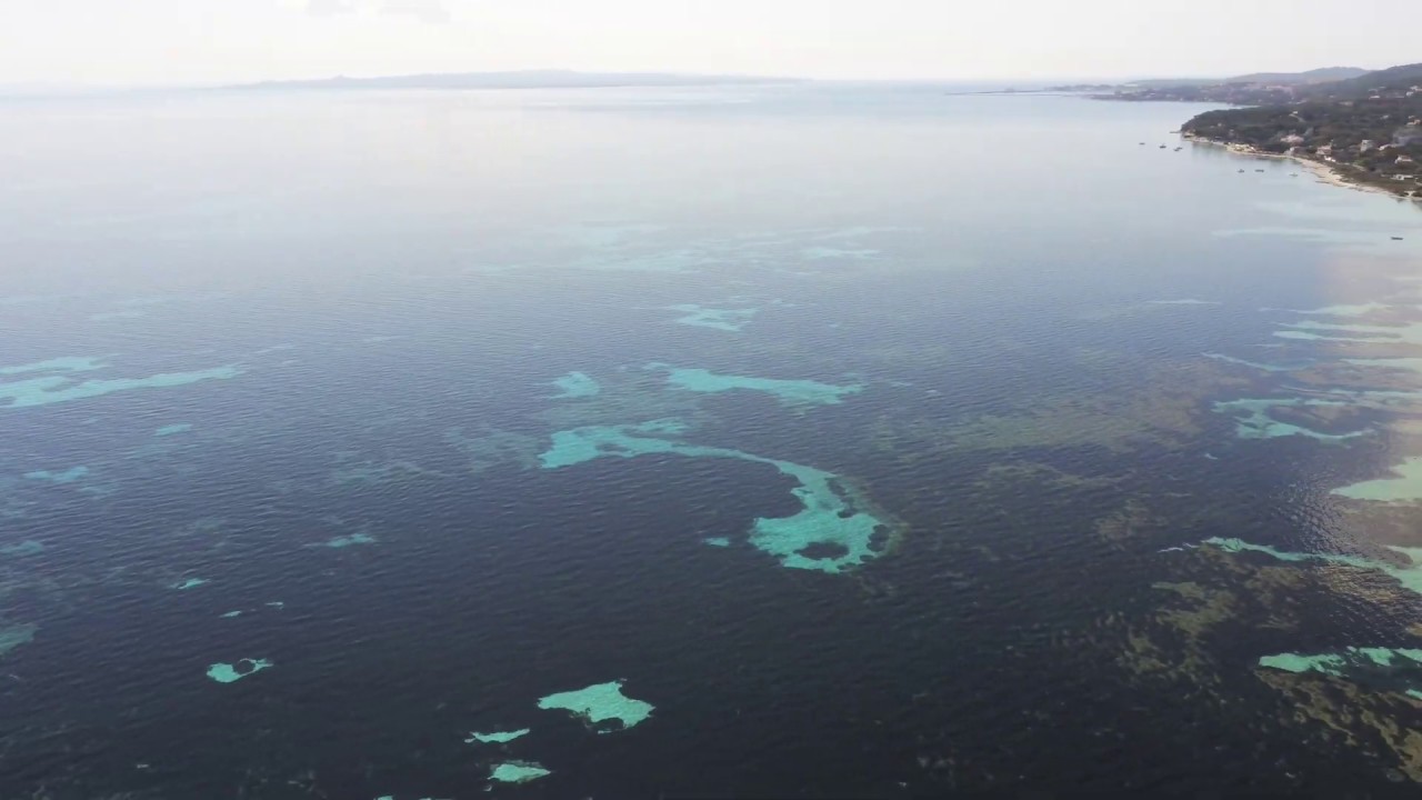 taccarossa sopra e sotto la superficie del mare