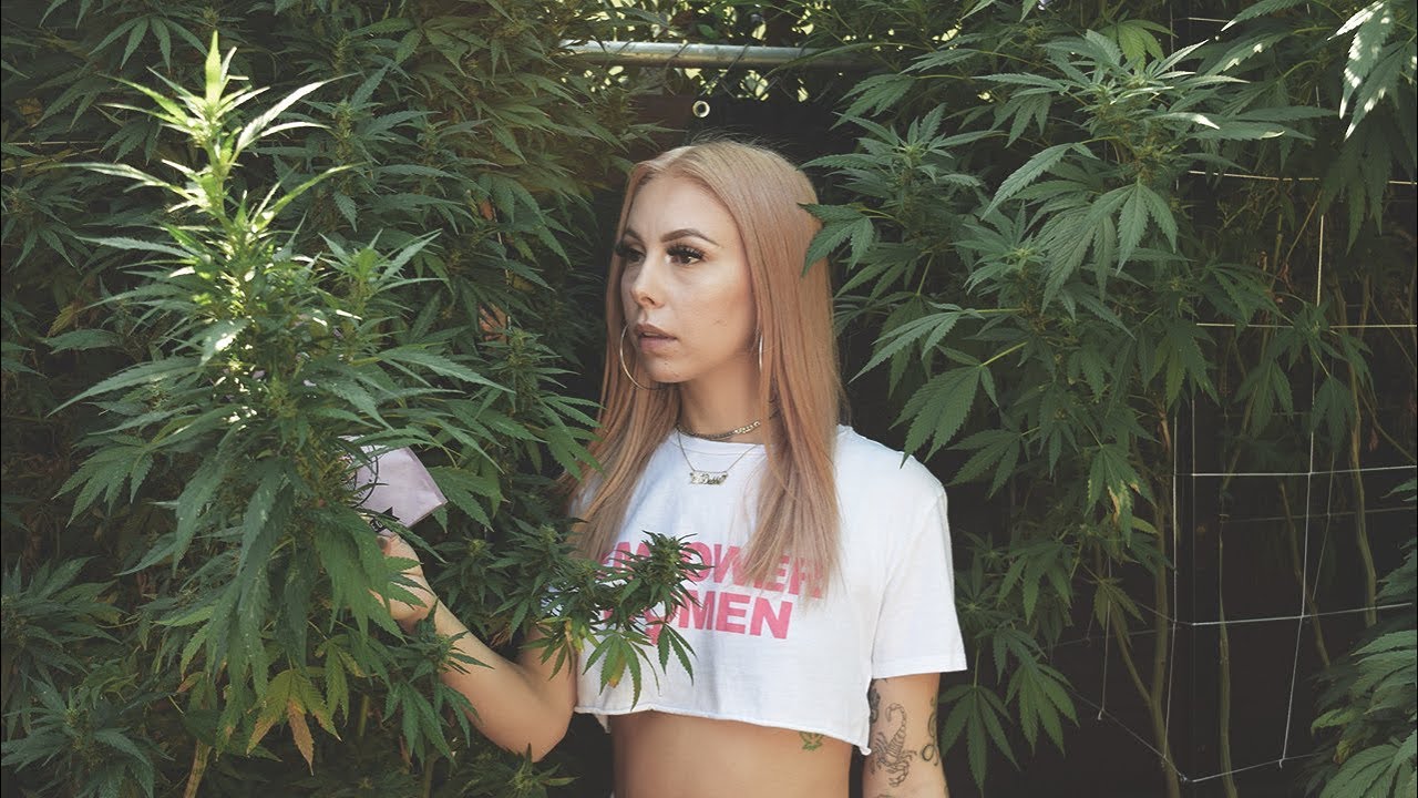 Hemper X Lil Debbie Cakes Box