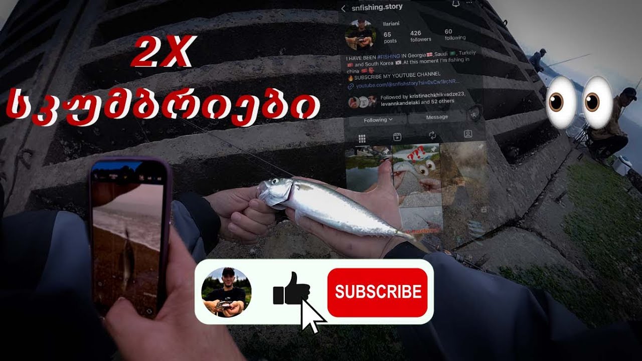 პასიური დღეები🤨 თევზაობა სკუმბრიაზე 🐟